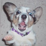 toughest year in the classroom